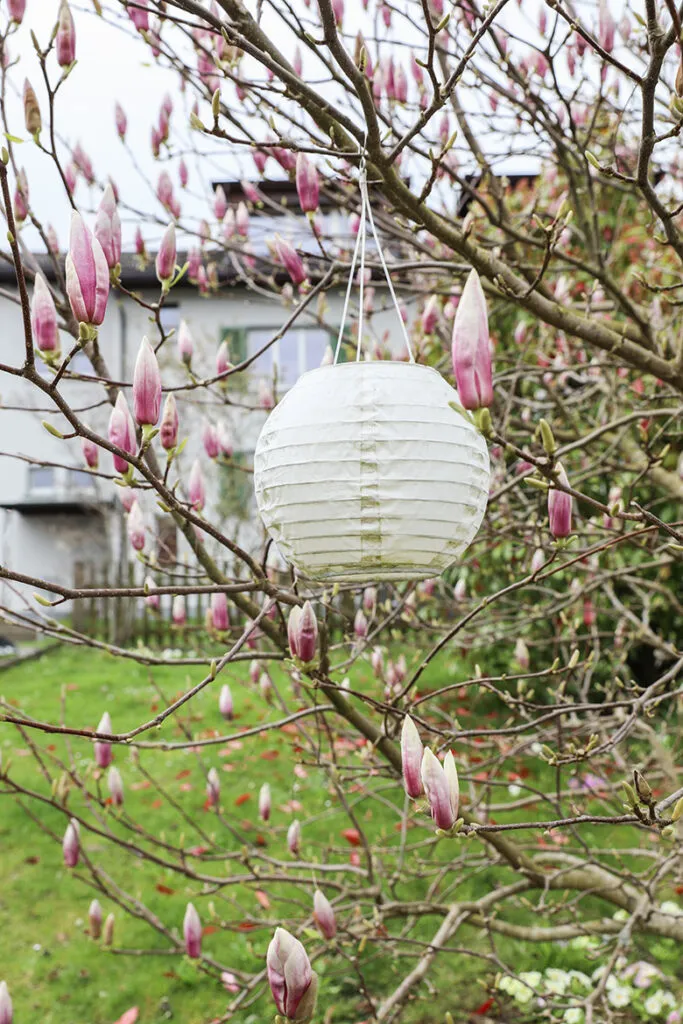 alltag-mit-fsme-borreliose-angelika-wick-garten-deko-magnolien