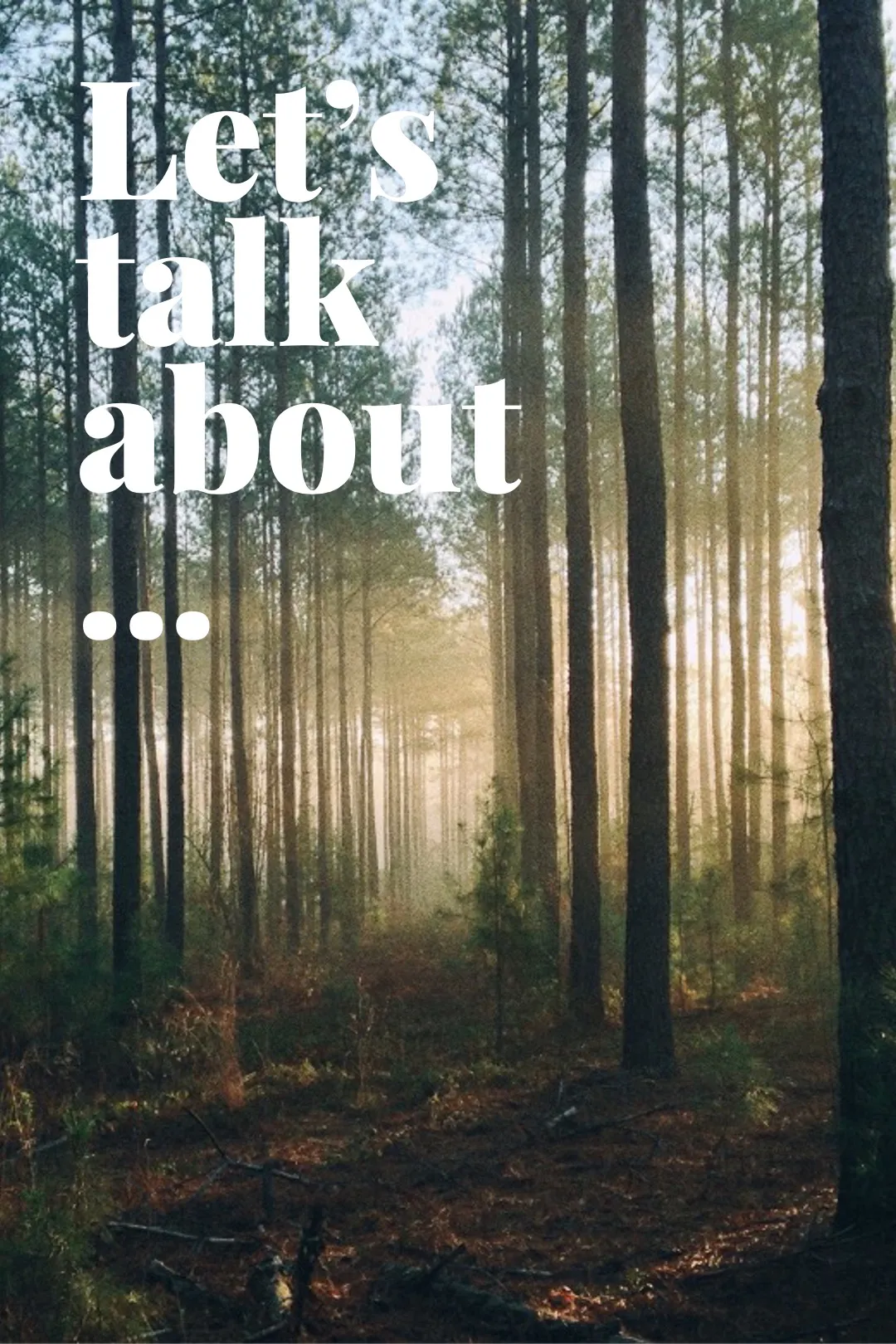 lets-talk-about-fsme-borreliose-morgen-stimmung-wald-sonnenlicht