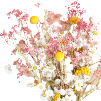 tadah-female-founders-lieblingsstuecke-trockenblumen-fleur-douce