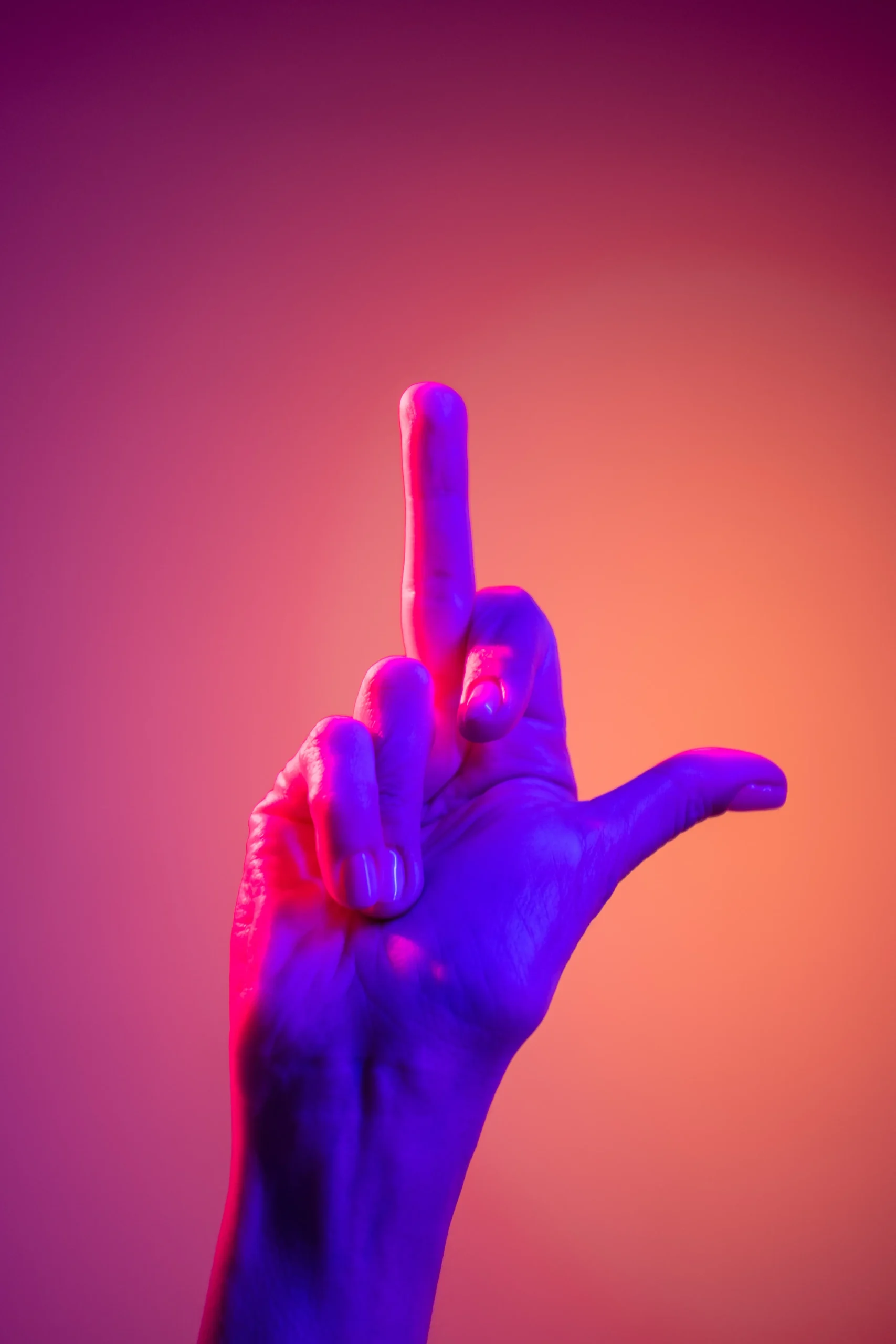 stinkefinger-fuck-you-lila-rosa