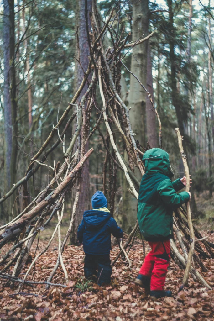 wald-baum-aeste-baumhaus-kinder-outdoor-herbst