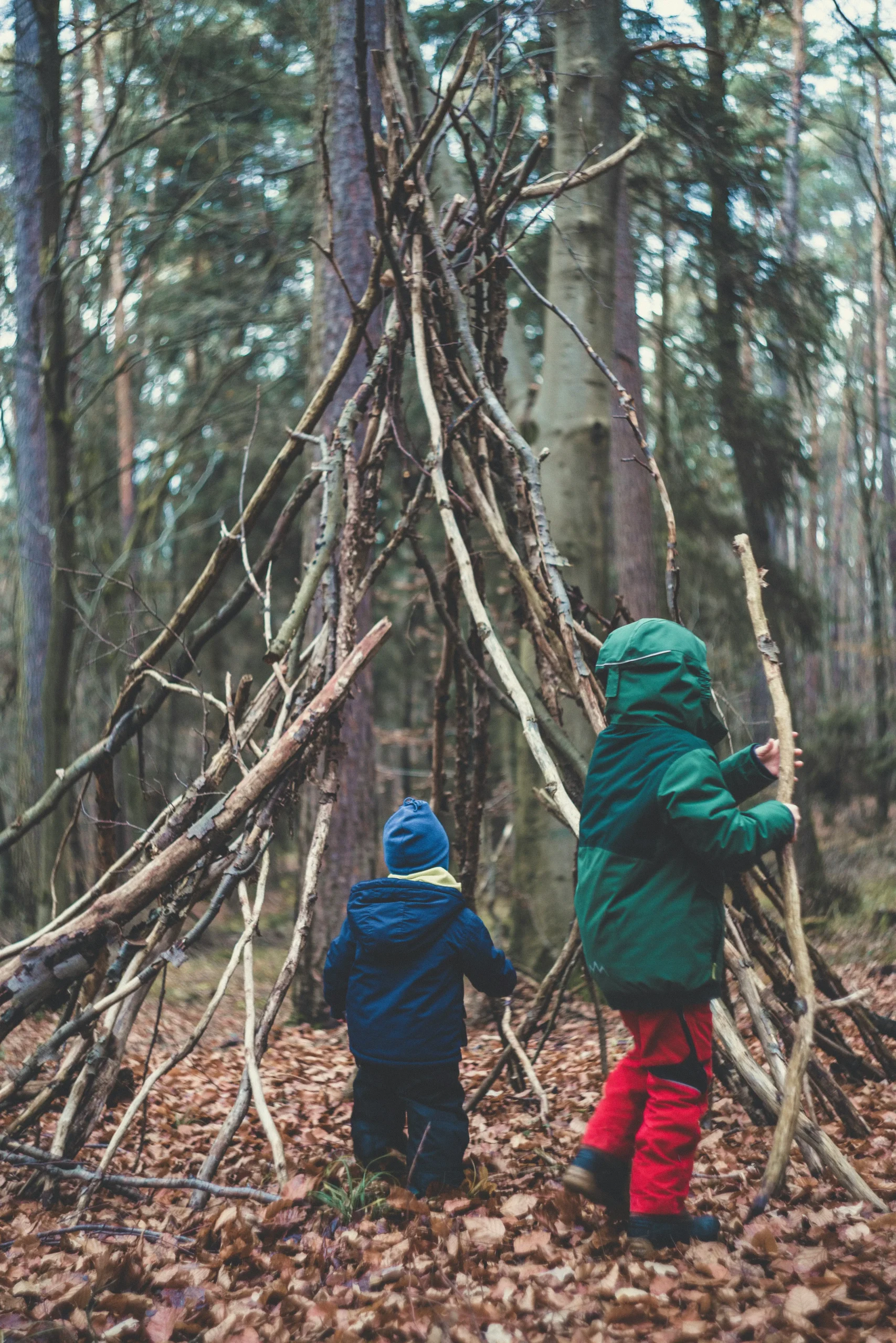 wald-baum-aeste-baumhaus-kinder-outdoor-herbst