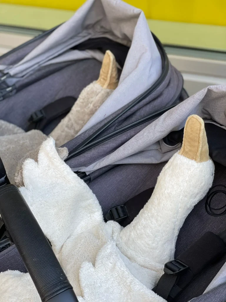 zwei-gaense-zwillingswagen-kinderwagen