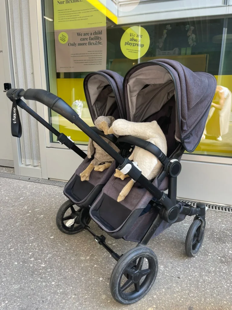 zwei-gaense-zwillingswagen-kinderwagen-kita
