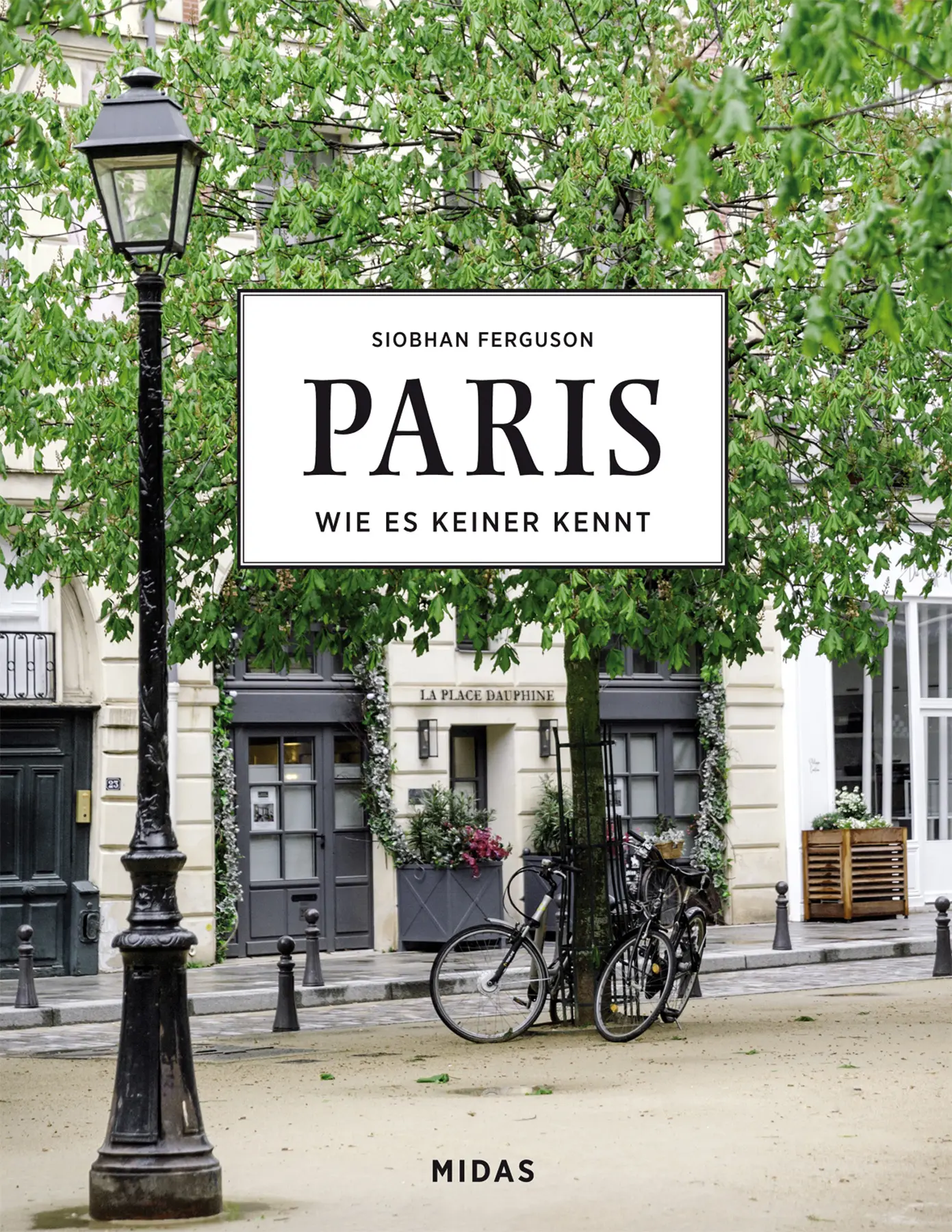 paris-wie-es-keiner-kennt-laterne-baum-strasse-midas