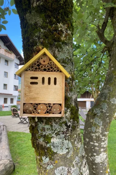 Bienenhaus
