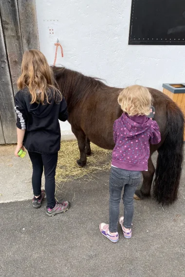 tadah-hotel-stern-im-tadah-famlientest-pony-mädchen